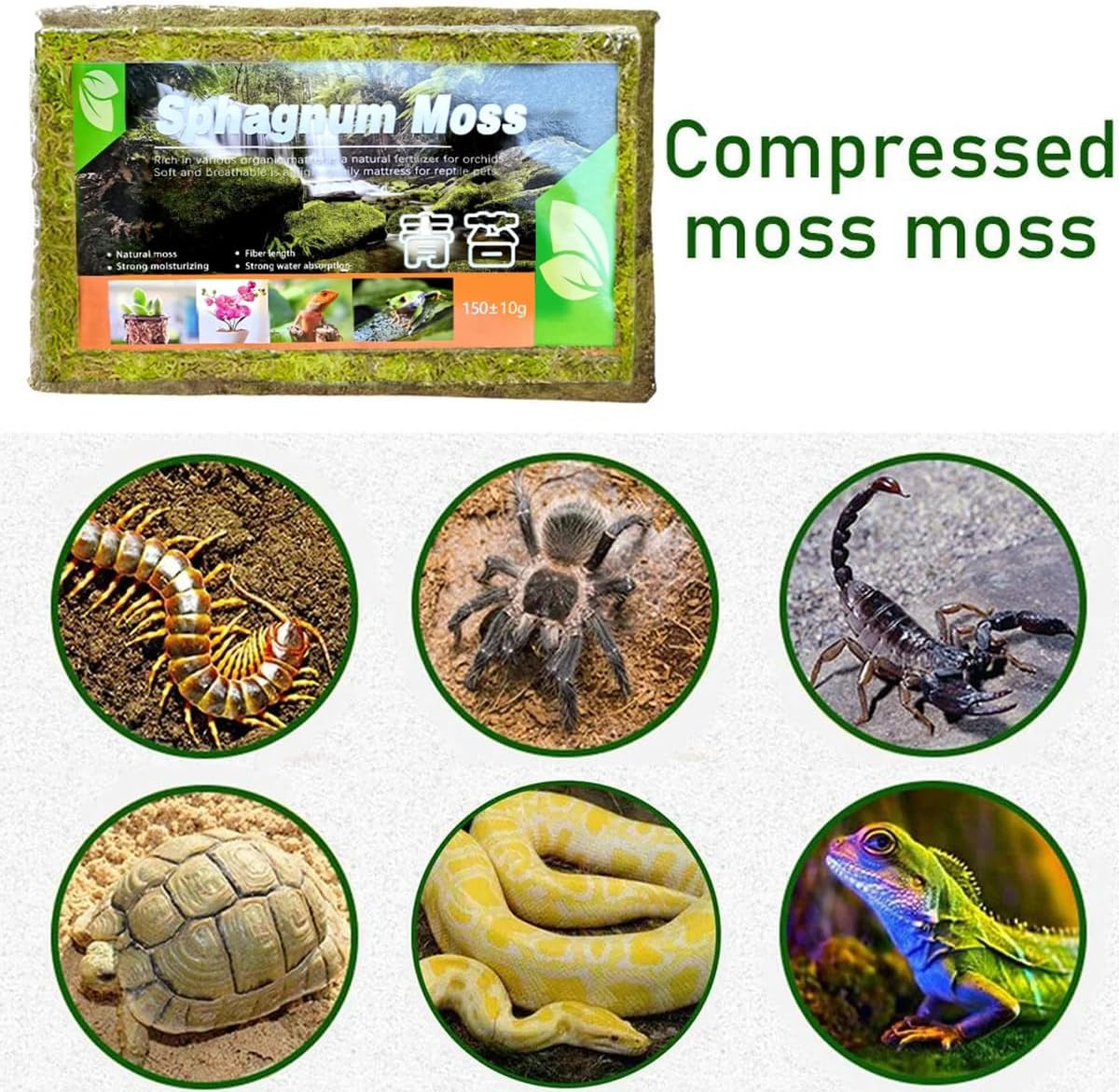 AIMALL Compressed Natural Moss Mat 8.27X4.92 Inch Moisturising Substrate Pad for Tortoise Snake Lizard Reptile Terrarium Bedding Organic Breathable Soil Cover image number 3