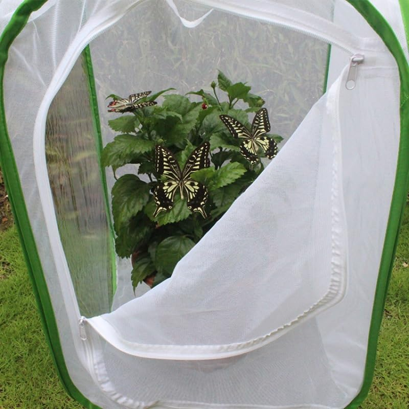 Insect and Butterfly Habitat Cage &ndash; Foldable Mesh Butterfly Cage with Clear View 6 Panels, Durable Breeding Habitat for Kids Garden Science Education, 40X40X60Cm (40X40X60Cm)