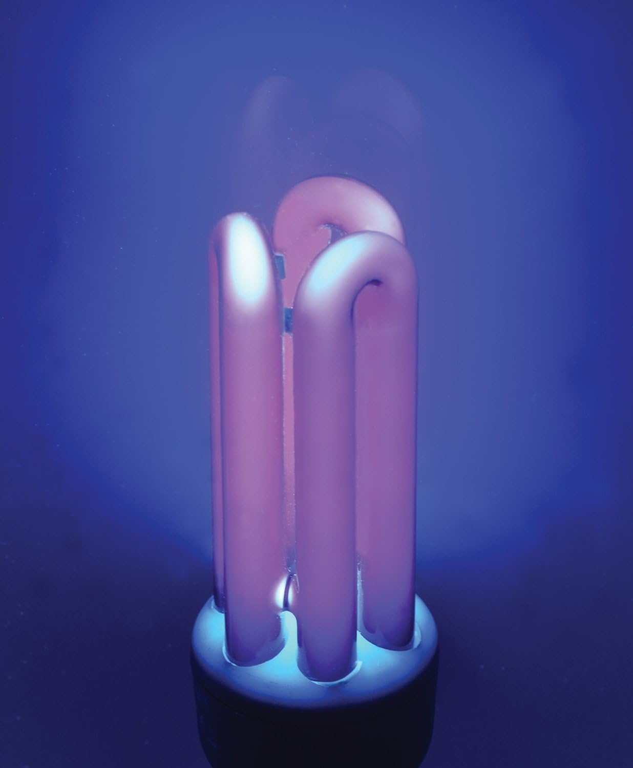 UV Ultra Violet Black Light Bulb 20W B22