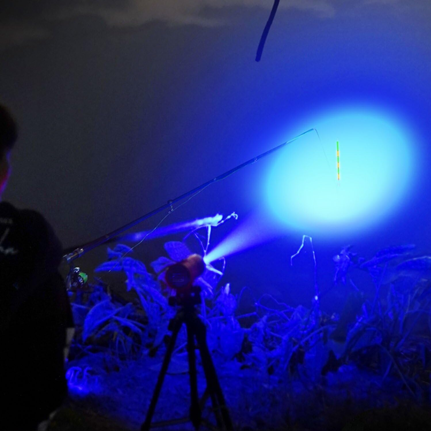 2 Pack LED Flashlights Torch, Mini Flashlight Red Green Blue Light LED Flashlight with 3 Modes, Waterproof Zoomable Flash Light for Camping,Outdoor, Night Astronomy (Blue and Red) image number 4