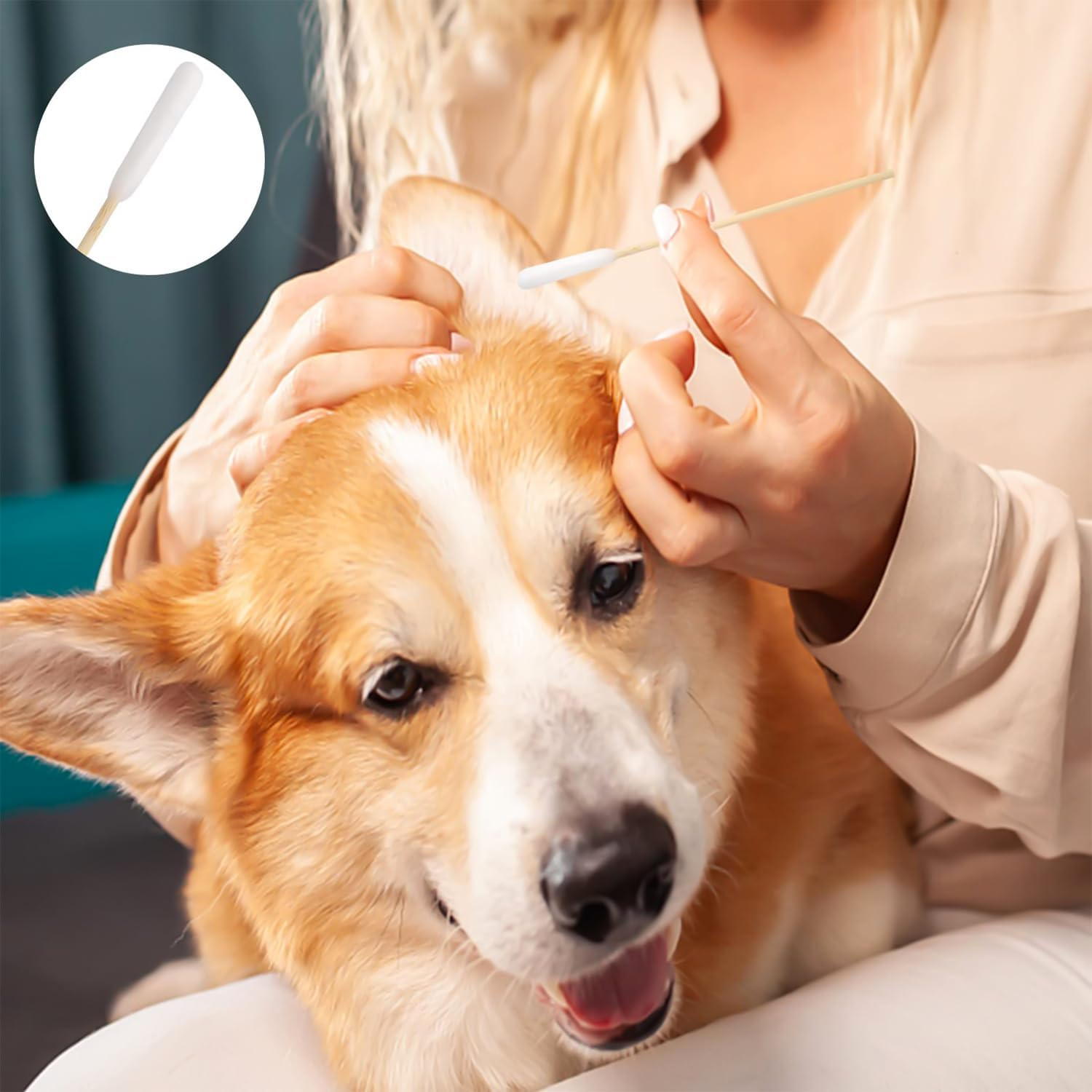 Dog Cotton Buds, Pack of 100 Pet Ear Cleaners, Long, Ear Cleaning Sticks, Pet with Wide Head, Ear Cleaner, Ear Cleaning Sticks for Pets, Dogs, Cats (15 Cm) image number 1