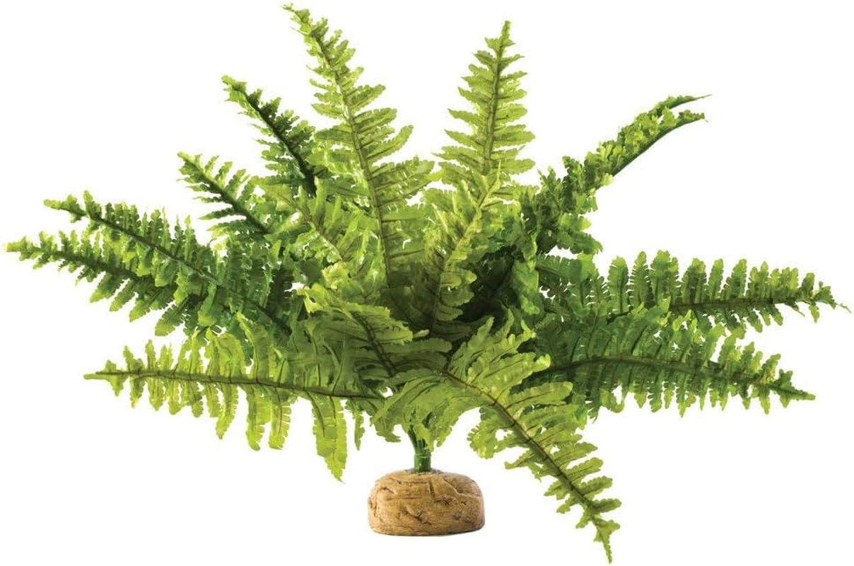 Exo Terra Boston Fern Medium image number 1