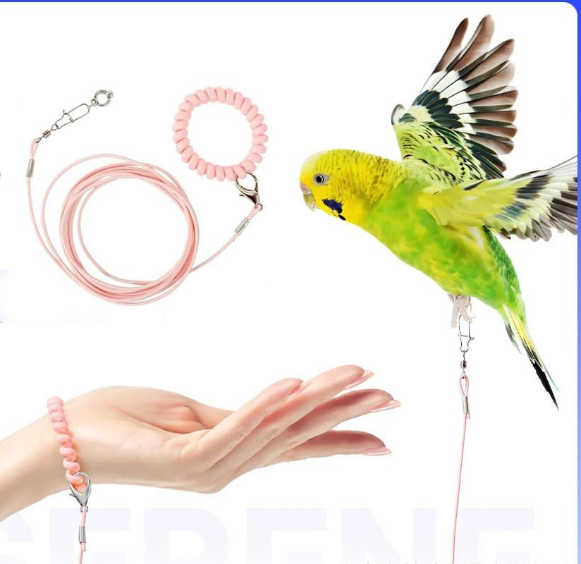 Bird Training Rope with Ankle Ring, Adjustable Harness, Biting-Resistant Toy with Ankle Foot Ring, Bird Pet Outdoor Flying Training Rope for Terrace (Pink) image number 1
