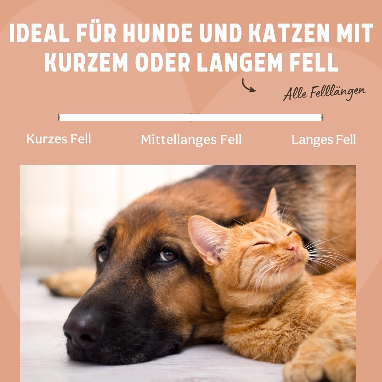 Rosewood Flea Comb for Dogs and Cats - Fine Flea and Egg Removal Comb - Black - for Targeted Care of Sensitive Areas image number 4