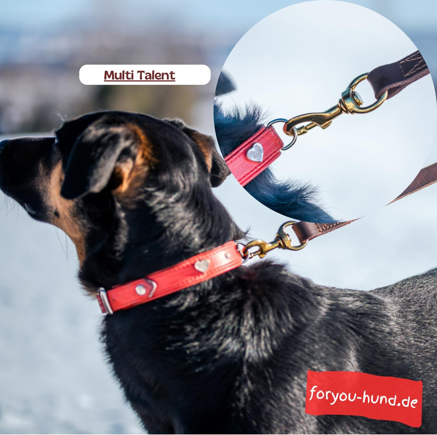 Foryou&reg; Leather Dog Lead with Collar, XS-XXL Neck Circumference, 3 Different Lengths, Real Leather Dog Lead in Premium Quality, 2.0 Cm X 190 Cm image number 6