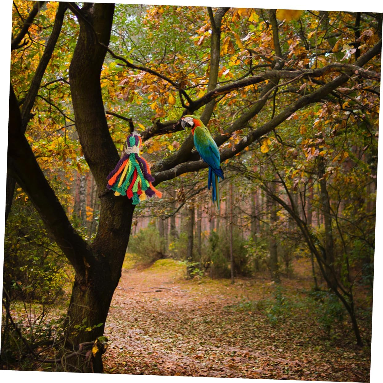 Angoily Bird Vent Toy Parrot Chewing Toy Cotton Rope String Parrot Toy Bird Gnawing Toy Random Color image number 3