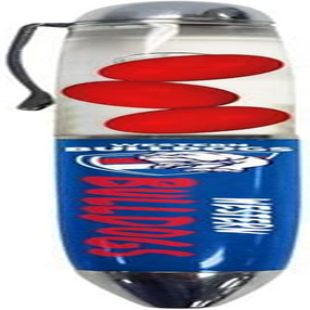 Western Bulldogs AFL Floating Footballs Pen