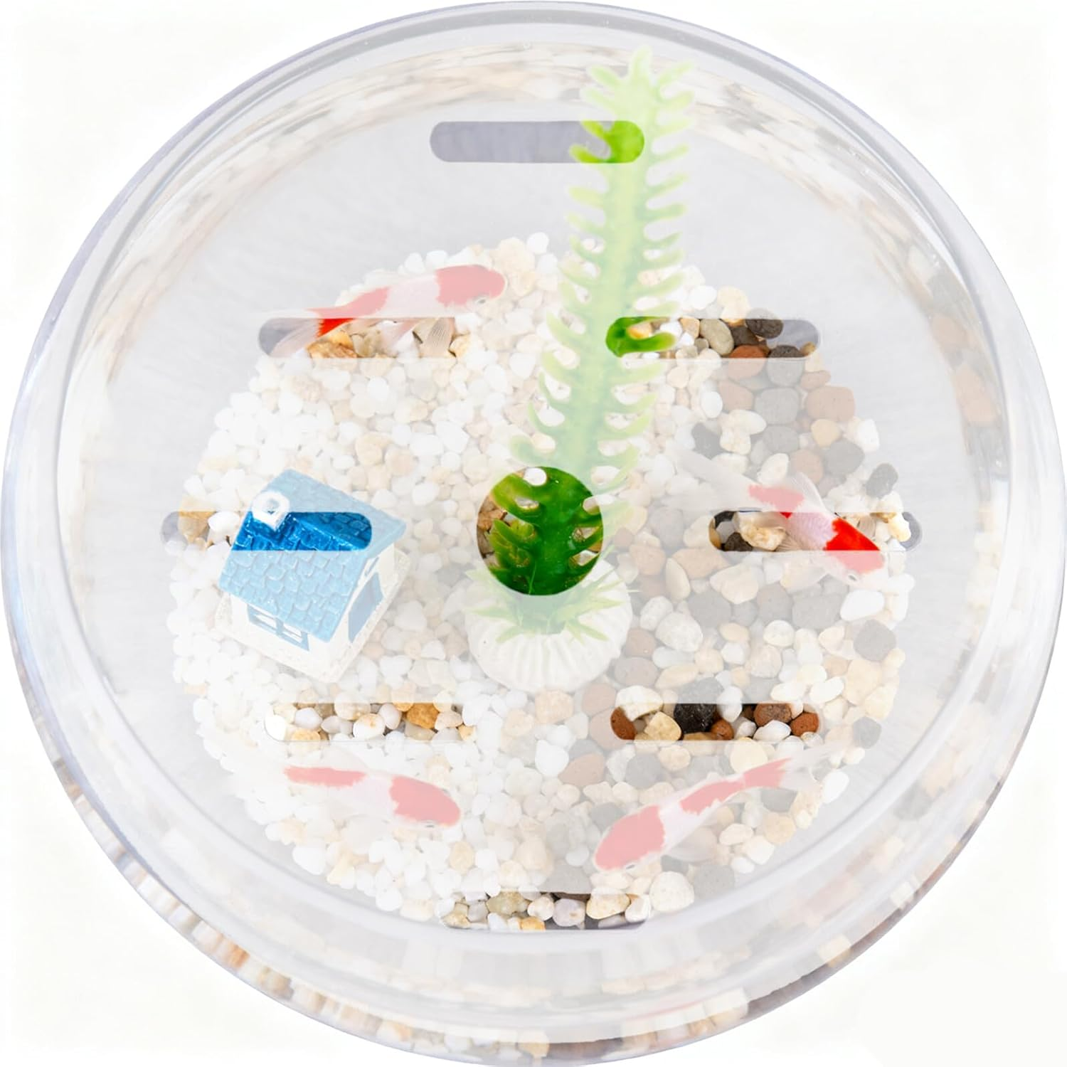 ARTIBETTER round Acrylic Aquarium Lid Transparent Anti-Escaping Fish Tank Cover with Easy Feeding Access Protective Top for Table Fish Tanks and Energetic Aquatic Pets image number 1