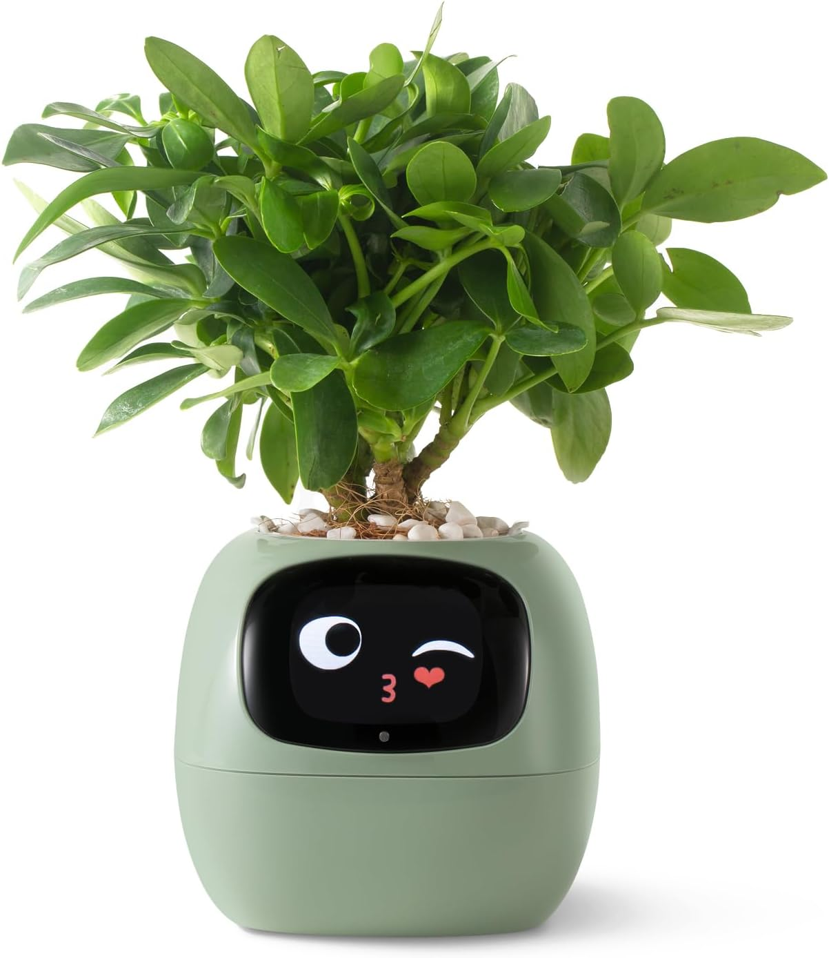 Smart Pet Planter Robot Guidance on Plant Care with Emojis, Adorable Plant Companion with Rich Gesture Interaction, Neat Desk Setup Gift(Green)
