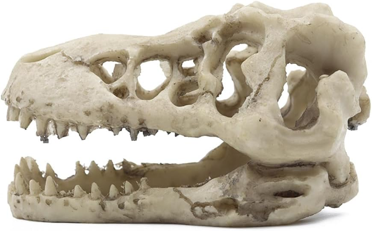 NUZAMAS Dinosaur Skull Skeleton Ornament Resin Artificial Dinosaur Skull Shape Fish Tank Ornament Cave Decoration Hiding Climbing Shelter for Fish Tortoise image number 6