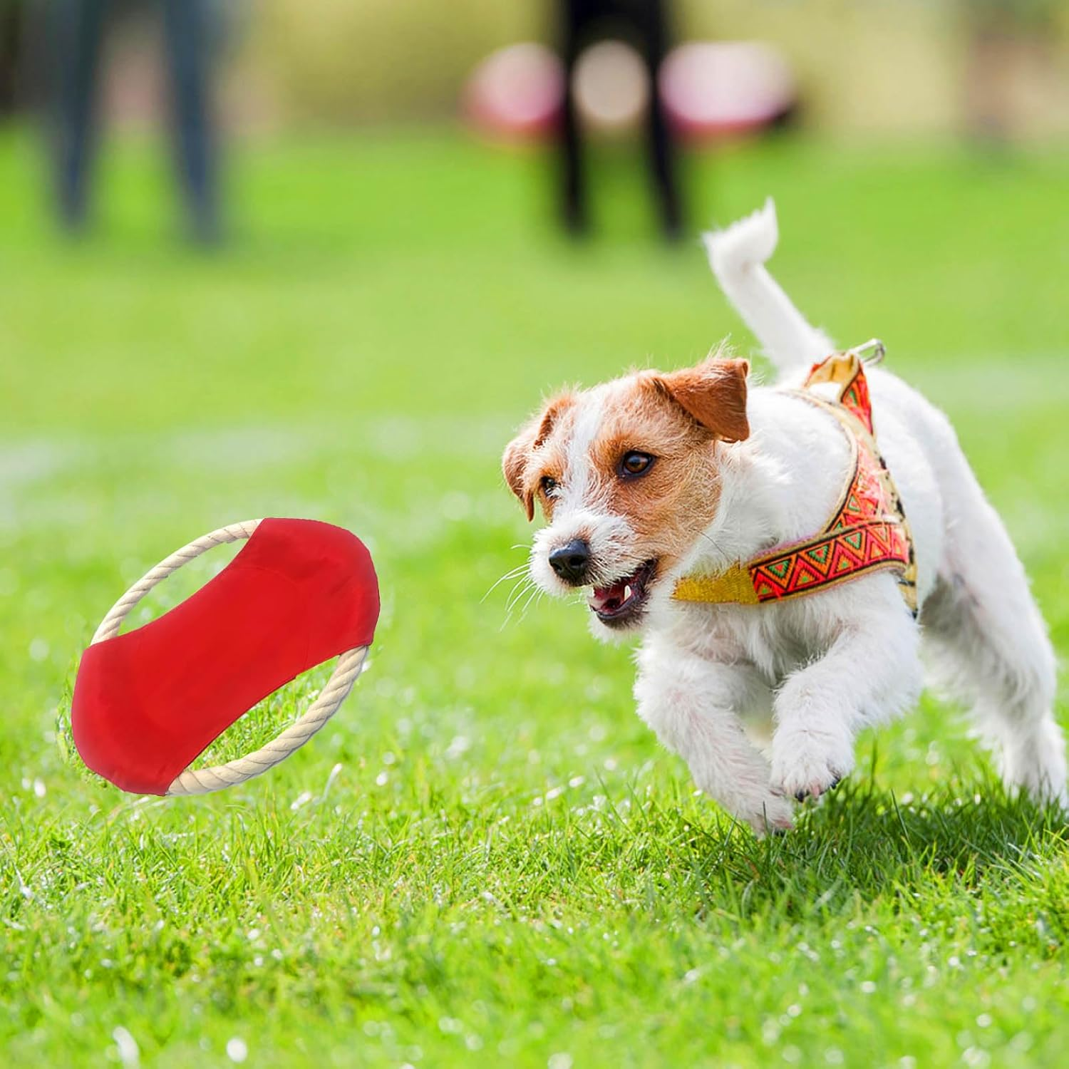 3 Pack Indestructible Dog Toy Rings - Heavy Duty Chew Proof Flying Discs for Aggressive Chewers, Small/Medium/Large Breeds - Cotton Ropetoys for Outdoor Training, Yard Play image number 2