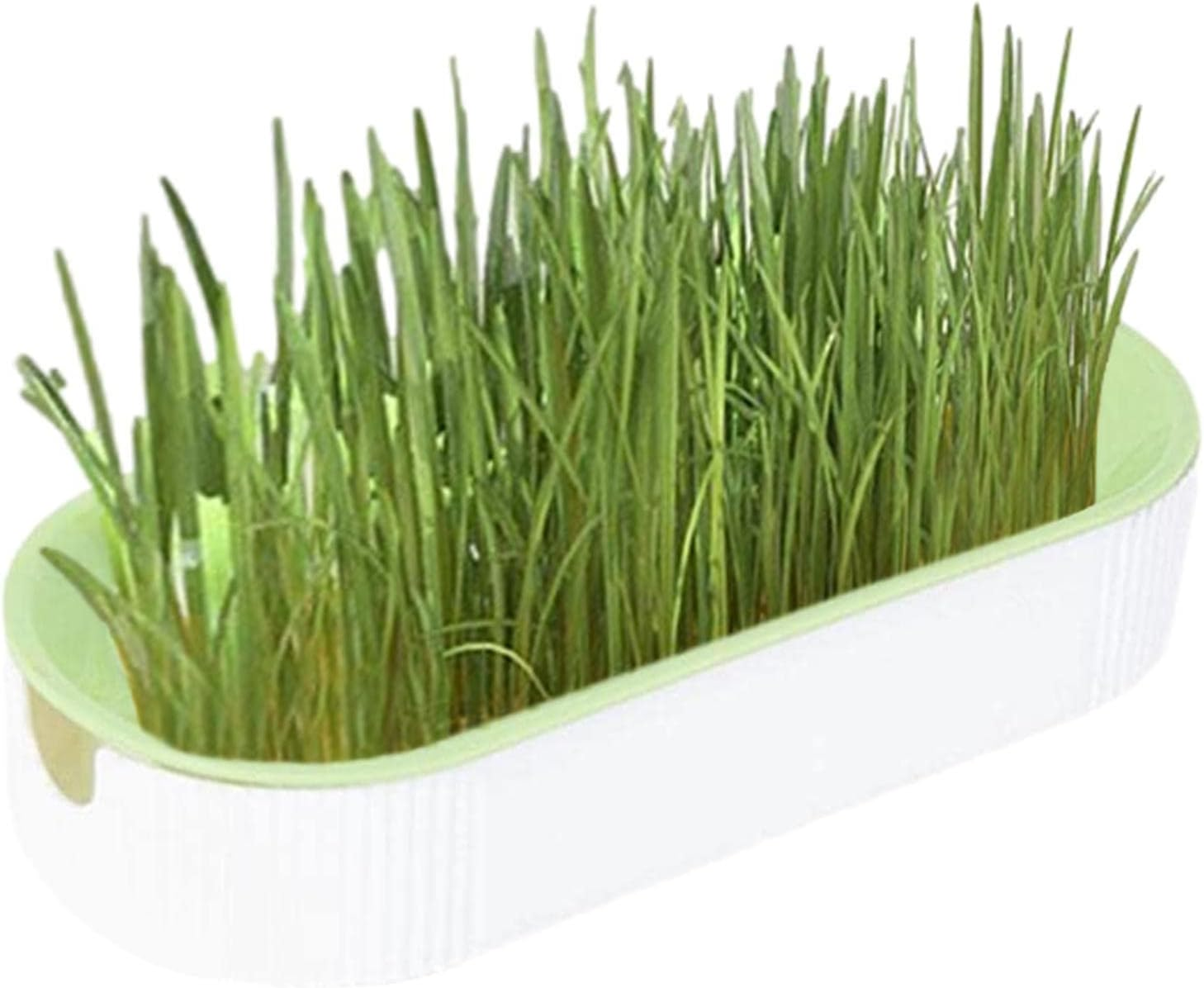 Cat Grass Growing Kit, Pet Grass Growing Kit, Indoor Cat Grass, Cat Grass Planting Box with Seeds, Soil- Cat Snacks Hairball Removal Pet Food for Nursery, Garden and Indoor Balcony image number 3