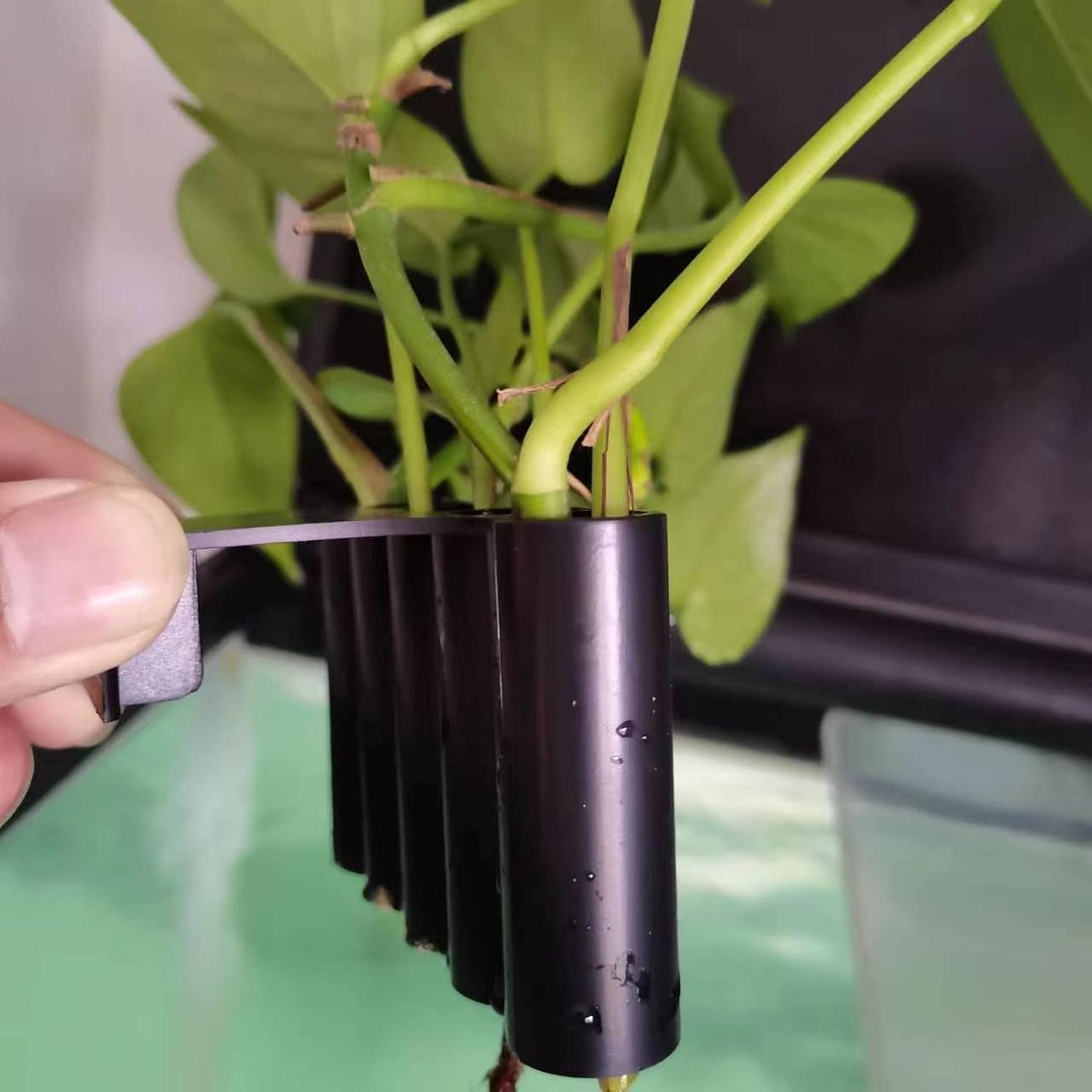 2Pcs Hanging Aquarium Plant Holder, 5 Holes Aquarium Hanging Aquatic Plant Holder, Fish Tank Decorations for Emersed Plants, Promote Plant Growth, Convenient for Viewing (Long Hook Short Hook) image number 3