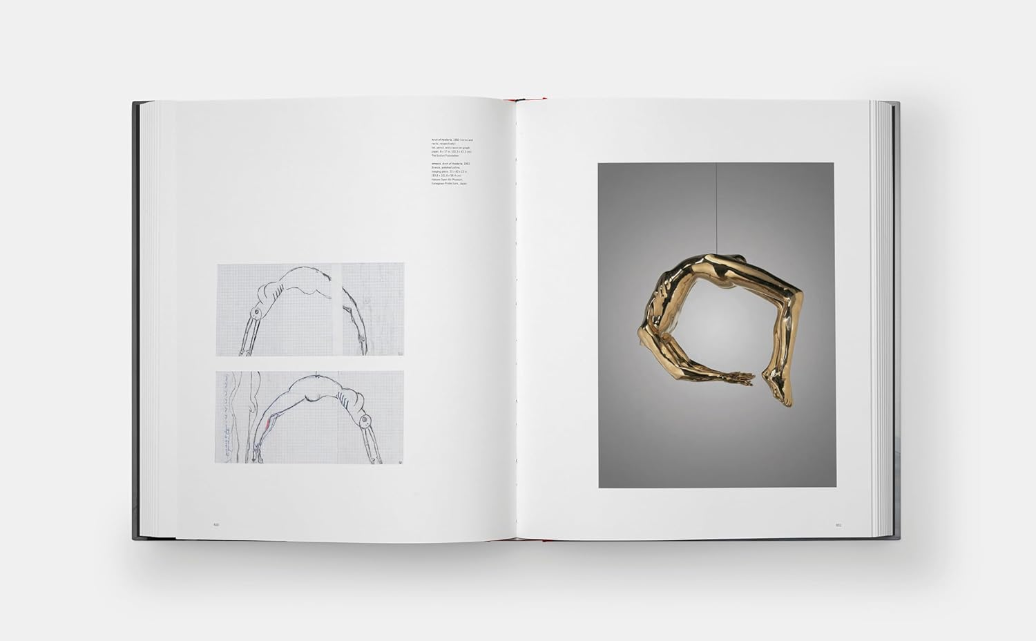Intimate Geometries: the Art and Life of Louise Bourgeois image number 1