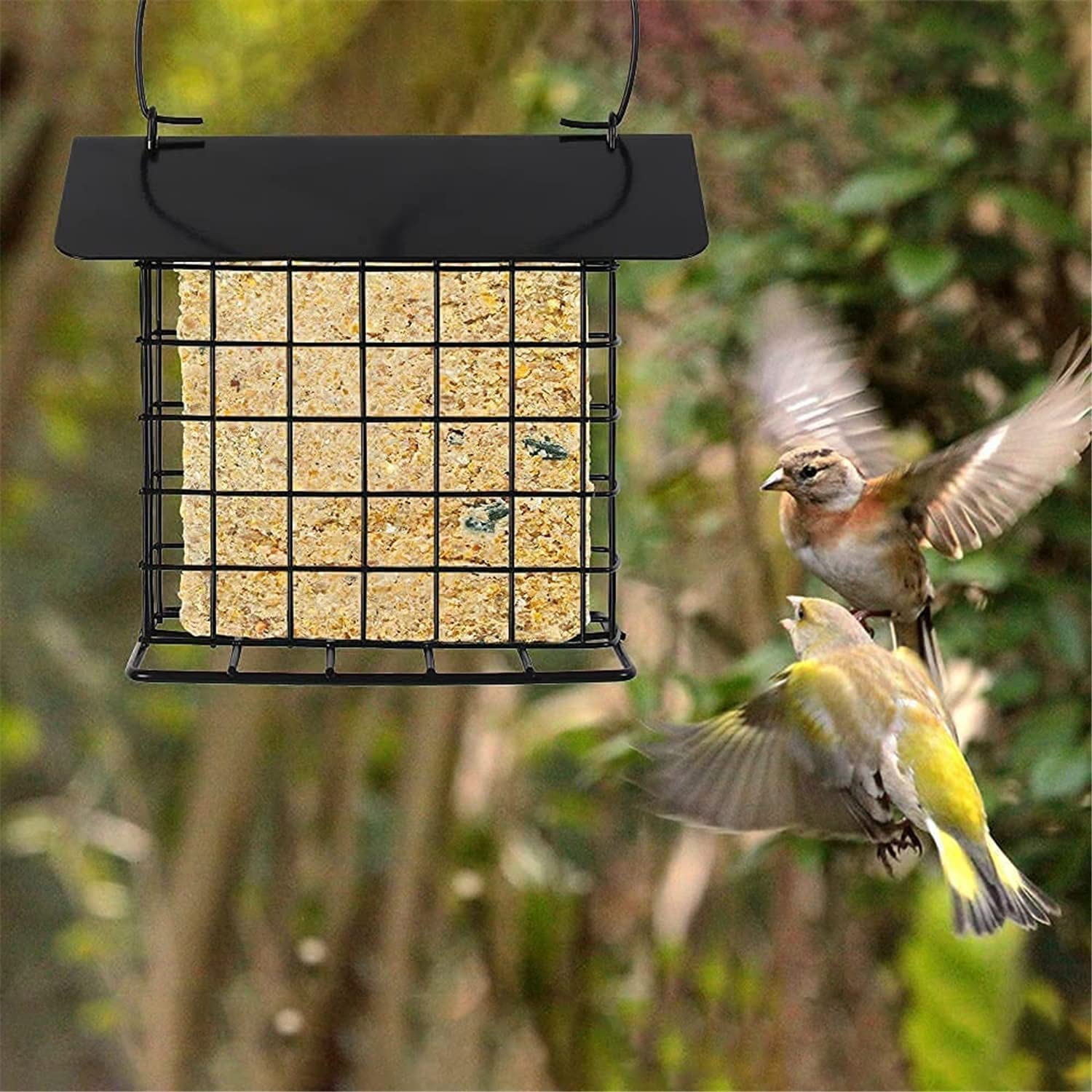 Outdoor Wild Bird Feeder, Hanging Bird Feeder,Rainproof Squirrel-Proof, Single Suet Cake Style for outside Office,Hanging Suet Feeder, Single Suet Cake Bird Feeder,For Bird Lovers image number 1