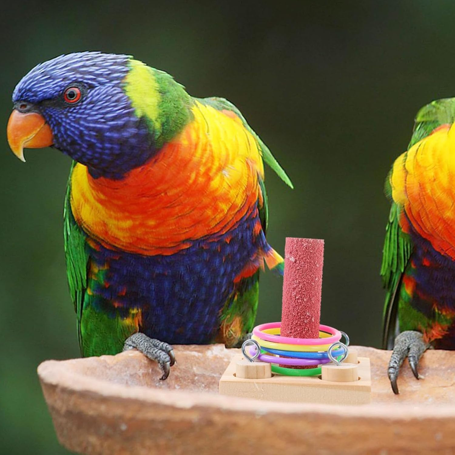 1 Set Parrot Educational Toy, Bird Intelligence Training Toy, Wooden Bird Toys Interactive Puzzle, Parrot Training Toy for Parrots Beak Grinding Chew Toy Pet Education Tabletop Toy (1 Pillars-5 Loops) image number 4