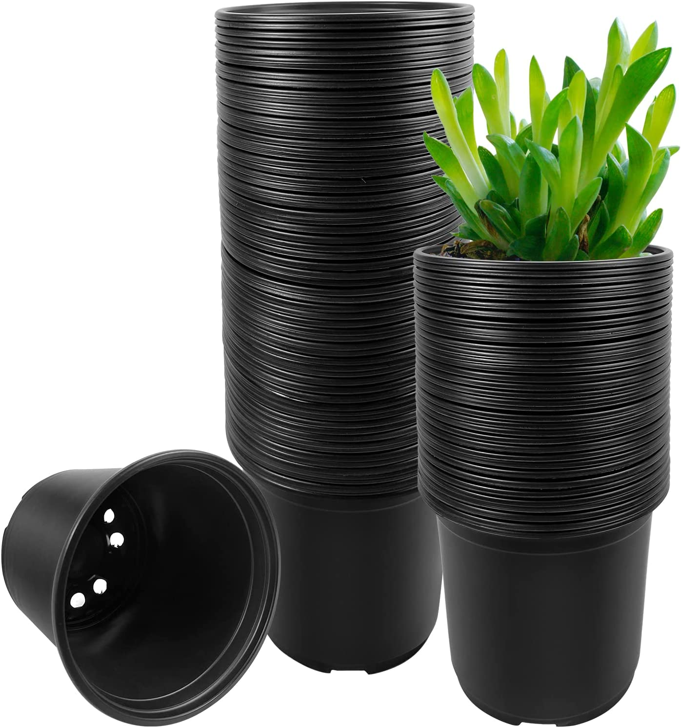 RAOOKIF 4 5 6 Inch Plants Nursery Pots, 100Pcs Plastic Seed Starting Pots for Plants, Flower Plant Container for Transplanting, Succulents, Cuttings, Seedlings(4Inch,100Pcs) image number 5