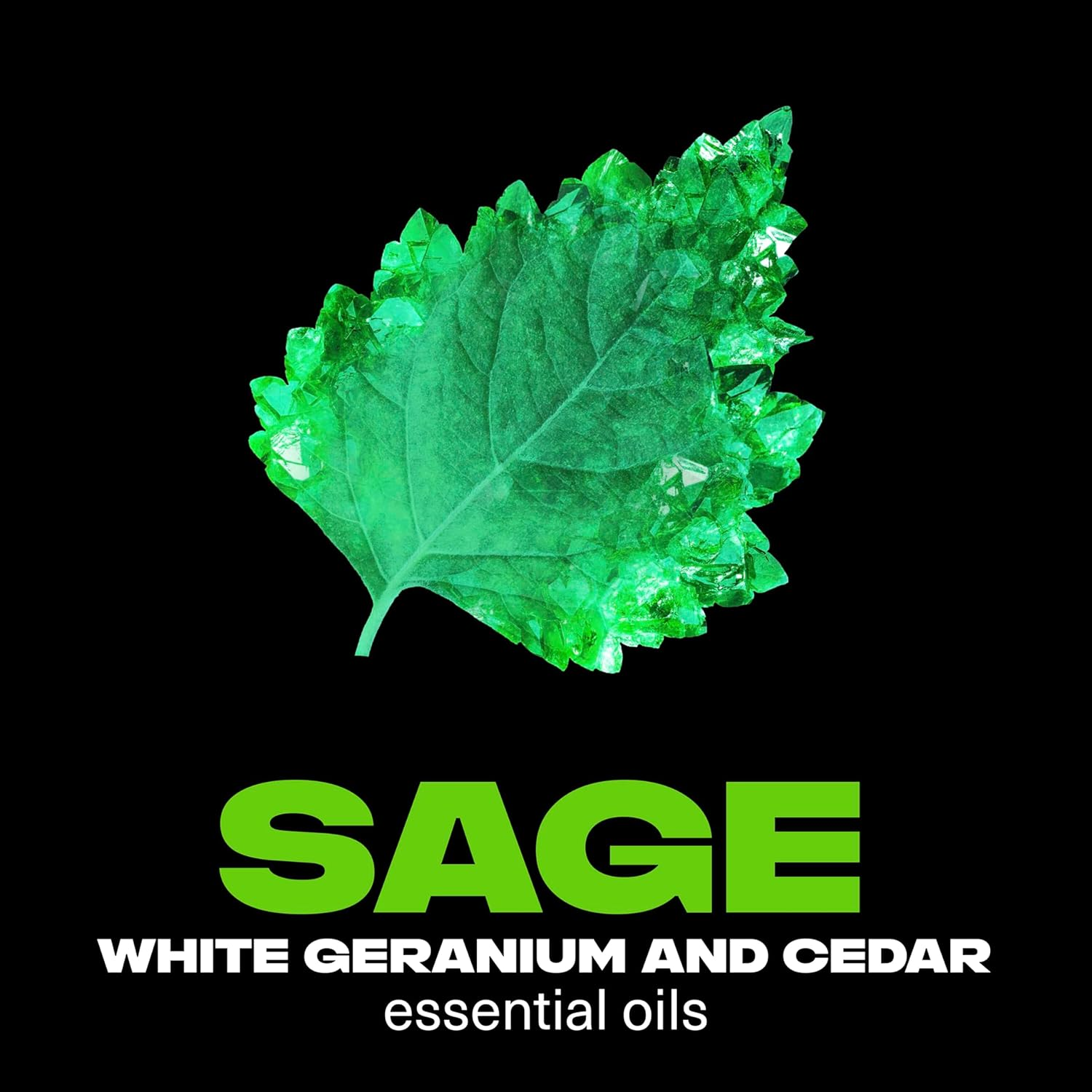 LYNX Fine Fragrance Deodorant ANTIPERSPIRANT EMERALD SAGE 150 ML image number 3