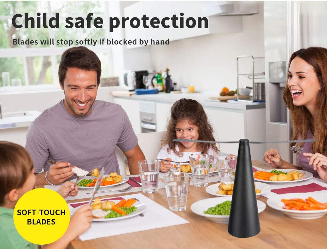 Lambu Fly Free Entertaining Chemical Trap Repellent Fly Fan Indoor Outdoor Home Black,Camping BBQ Food Mosquito Fruit Fly Portable Repeller Fans Safe Insect Killer image number 1