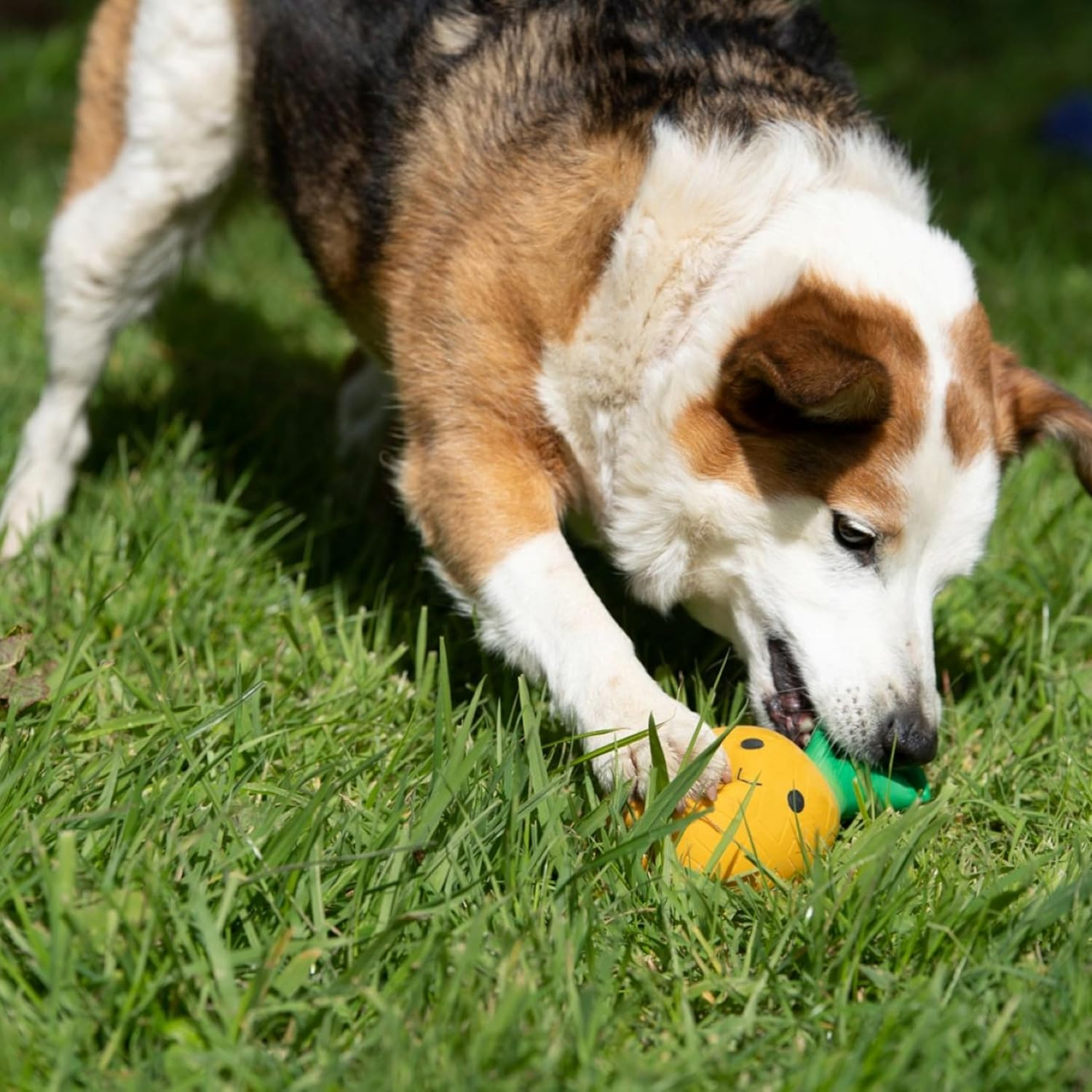 Petface Latex Chew Toy Pineapple Soft Large