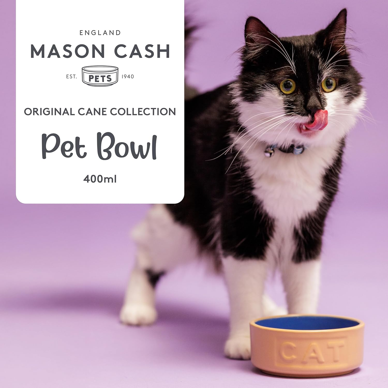 Mason Cash Lettered Cat Bowl Mason Cash Cane, 5 Inch