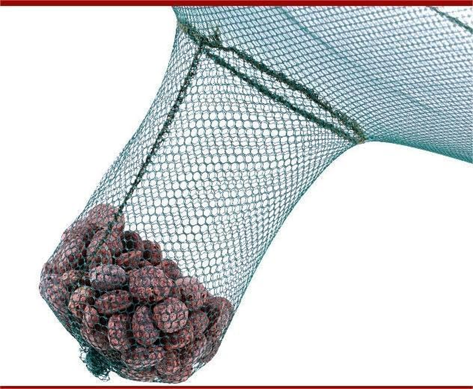 Crawfish Trap，Crab Fish Trap,Foldable Fishing Bait Cast Net Cage with Nylon Rope for Catching Small Bait Fish Eels Crab Lobster Minnows Shrimp 2 Pack image number 3