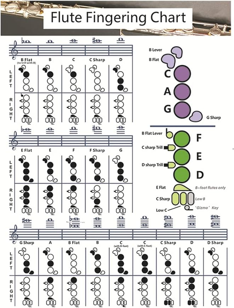 SYCOOVEN Flute Chord Chart, Durable Portable Fingering Practice White Chord Chart for Flute Fingering Practice Chord Chart Beginner Student for Teaching or Group Study(Size:S) image number 3