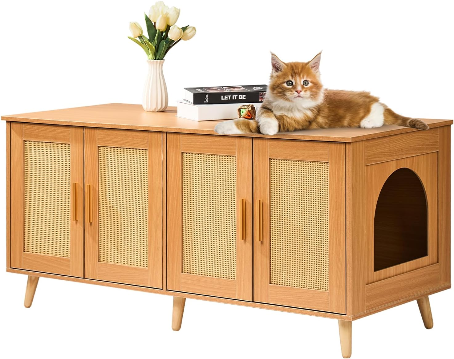 VEVOR Cat Litter Box Enclosure for 2 Cats, Litter Box Furniture Hidden with Rattan Decorated Doors, Wooden Cat Box Cabinet Fit Most of Litter Box, 47.2" L X 19.7" W X 21.7" H, Natural image number 3