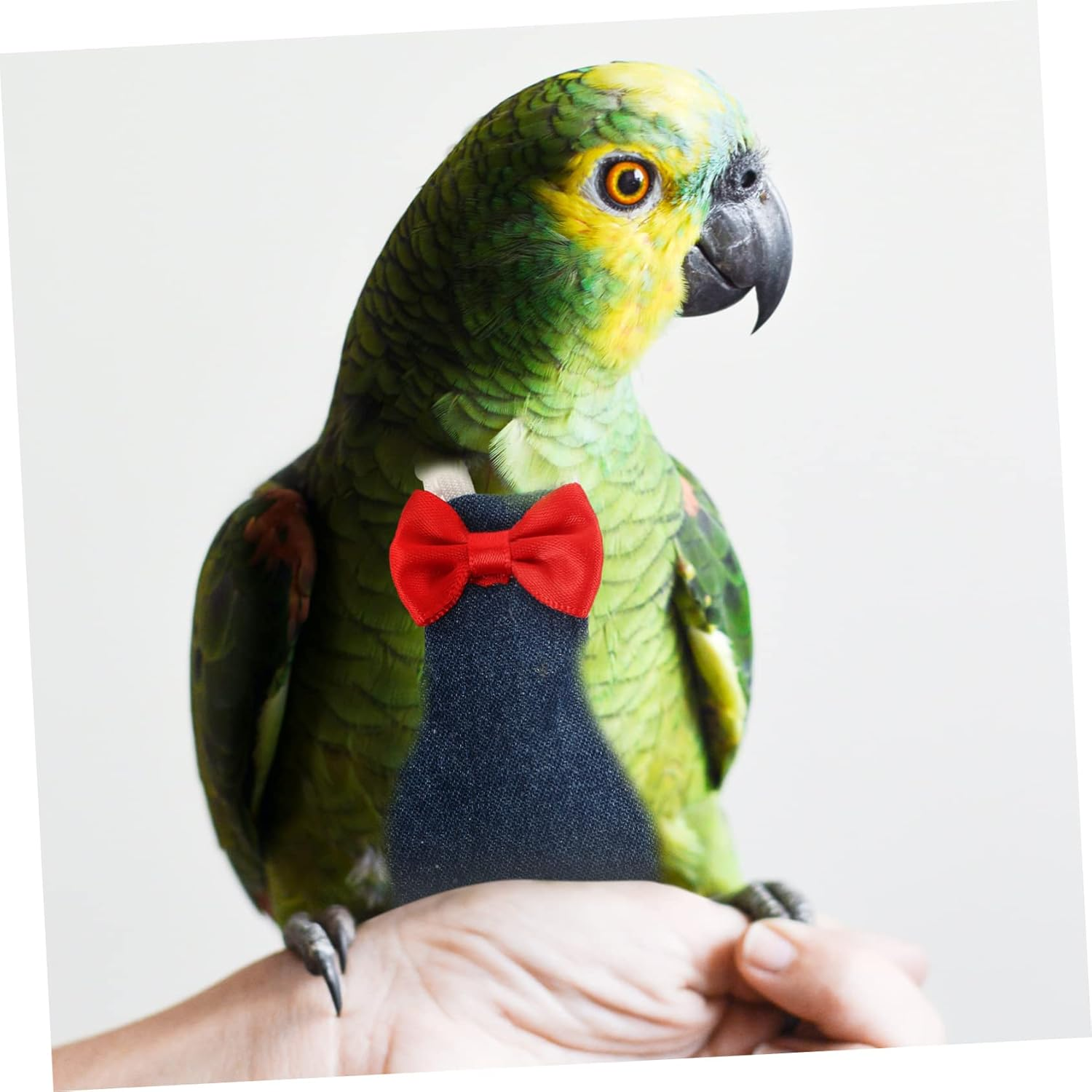 Parliky 5Pcs Reusable Bird Nappy Small Flight Suit for Cockatiel Parakeet Washable Bird Clothing Protector image number 2