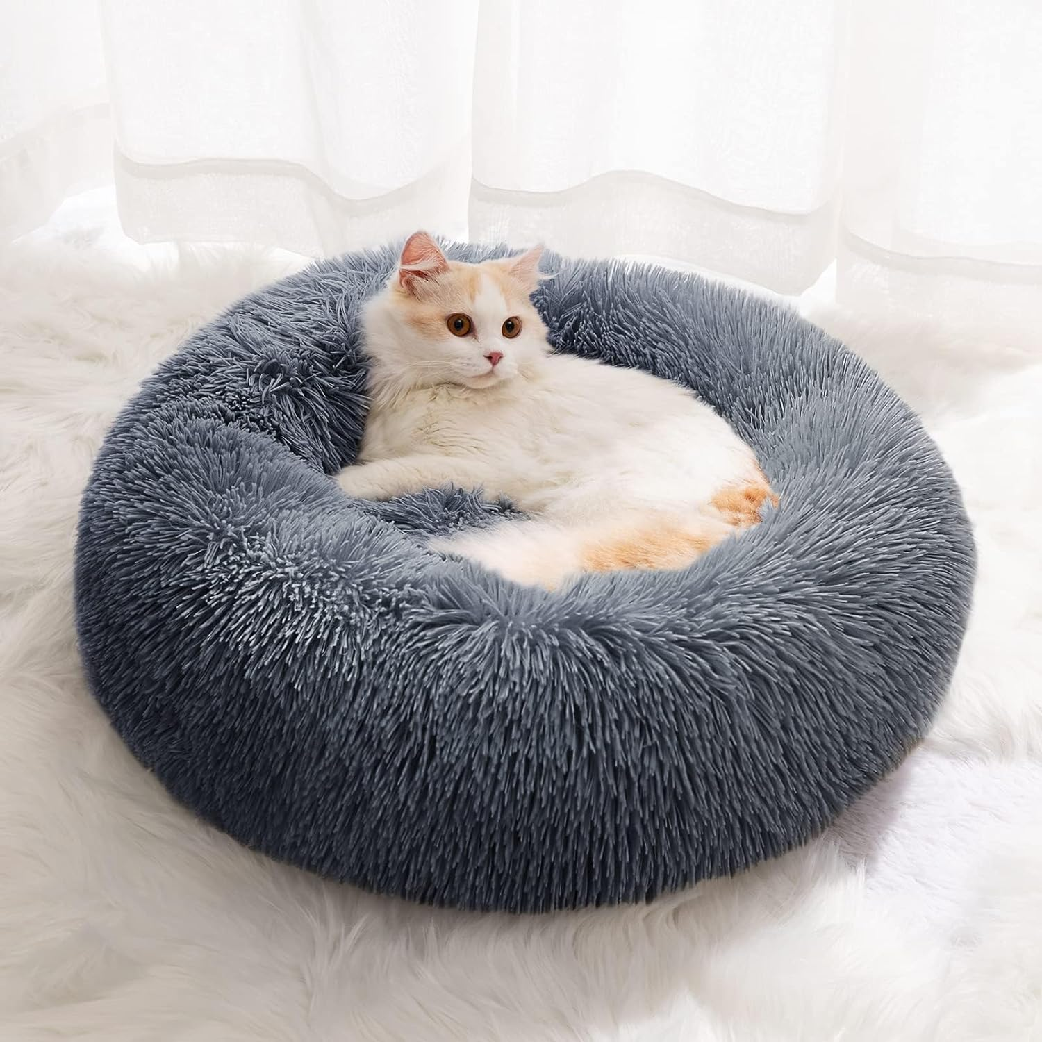 Cat Beds for Indoor Cats, Calming Cat Dog Beds for Small Medium Cats Dogs anti Anxiety Kittens Puppy Donut Bed Machine Washable Cat Bed Warming Soft Fuzzy Comfy round Pet Bed (Dark Grey, 24 Inches)