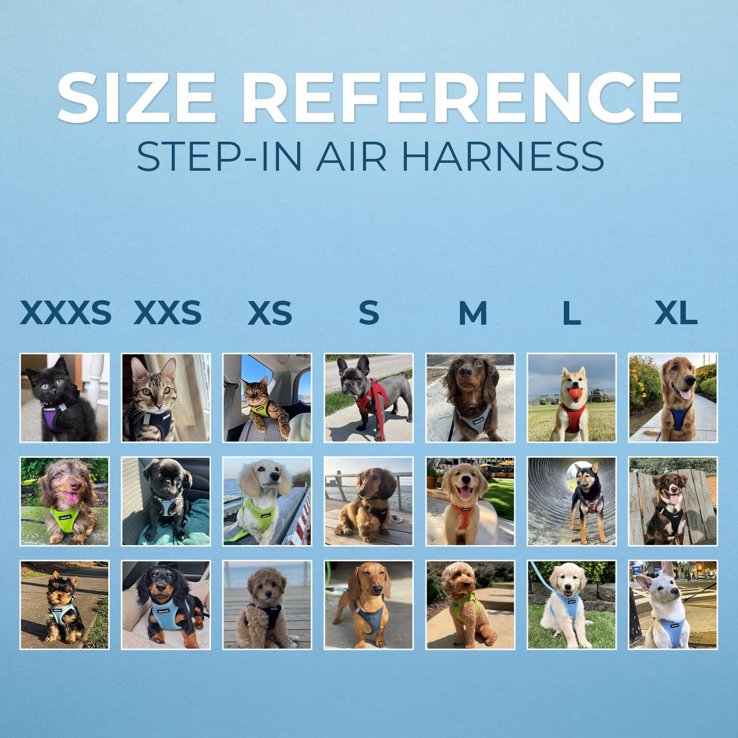 Best Pet Supplies, Inc. Voyager Step-In Air Dog Harness - All Weather Mesh, Step in Vest Harness for Small and Medium Dogs image number 6