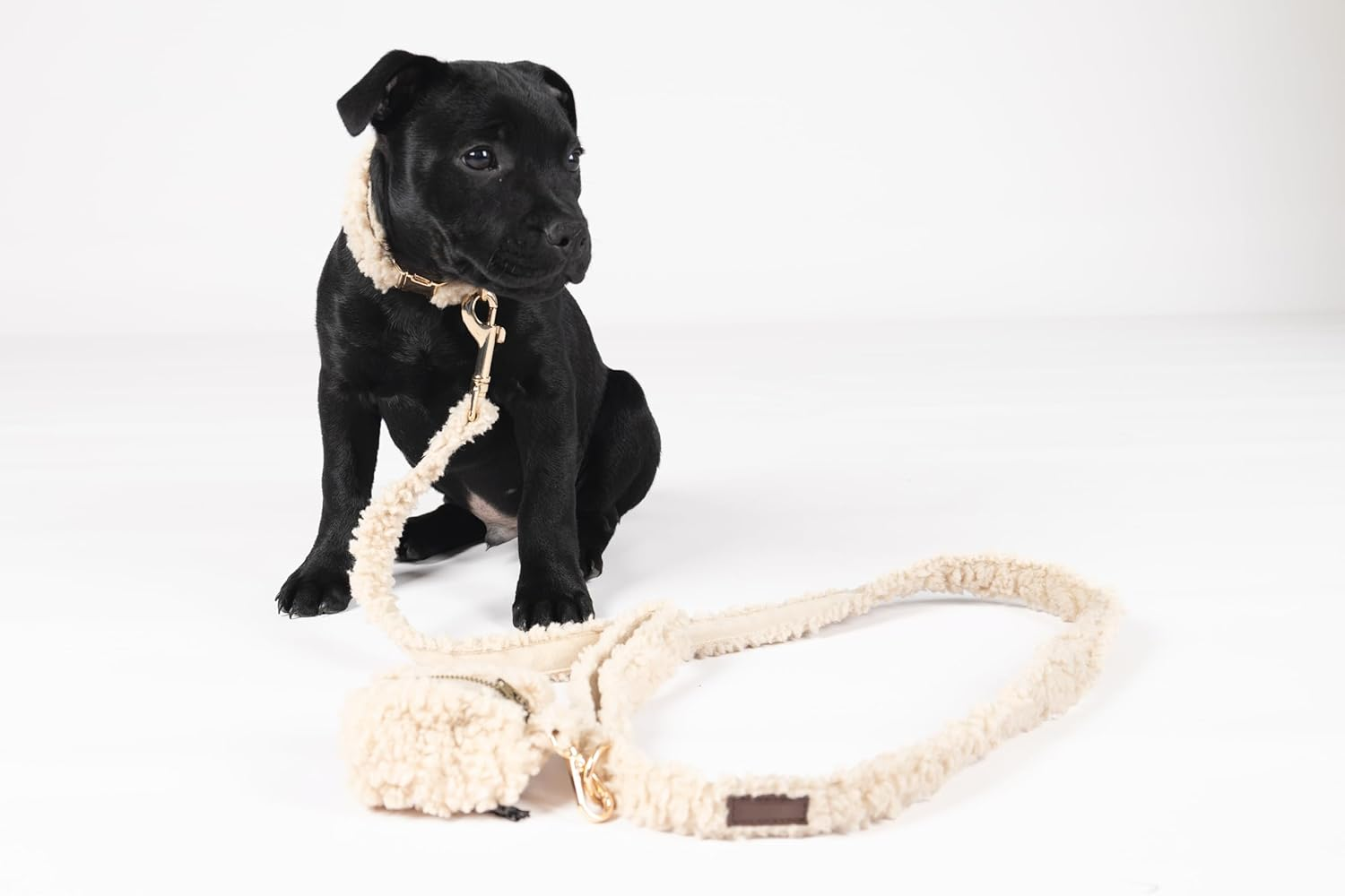 Flamingo Dog Collar Pookie Beige XS 23-35 Cm 15 Mm image number 2