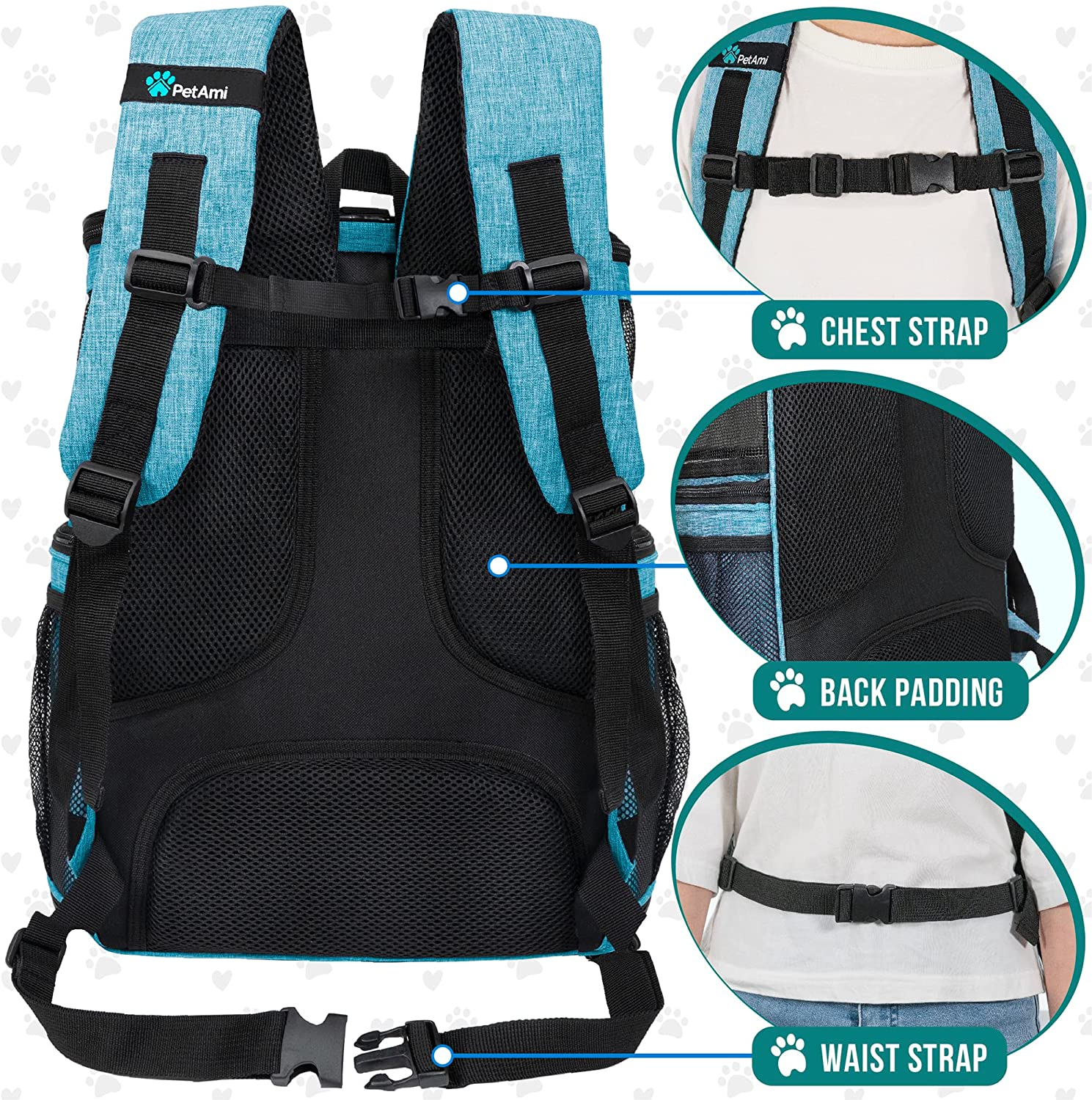 Petami Pet Carrier Backpack for Small Cats, Dogs, Puppies | Ventilated Structured Frame, 4 Way Entry, Safety and Soft Cushion Back Support | Collapsible for Travel, Hiking, Outdoor (Turquoise)