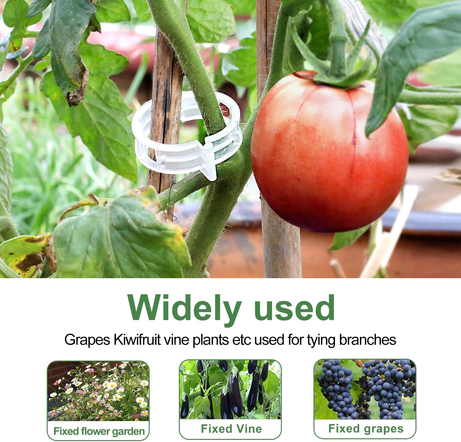 Topbine 200 Pcs Plant Support Clips,Plastic Garden Trellis Clips for Climbing Plants to Grow Upright Healthier image number 3