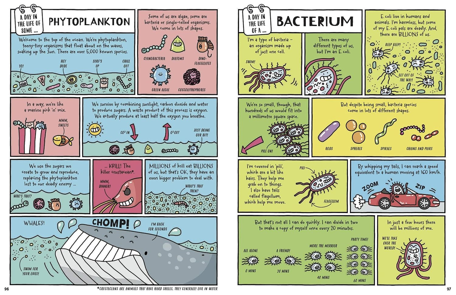 A Day in the Life of a Poo, a Gnu and You (Winner of the Blue Peter Book Award 2021) image number 4