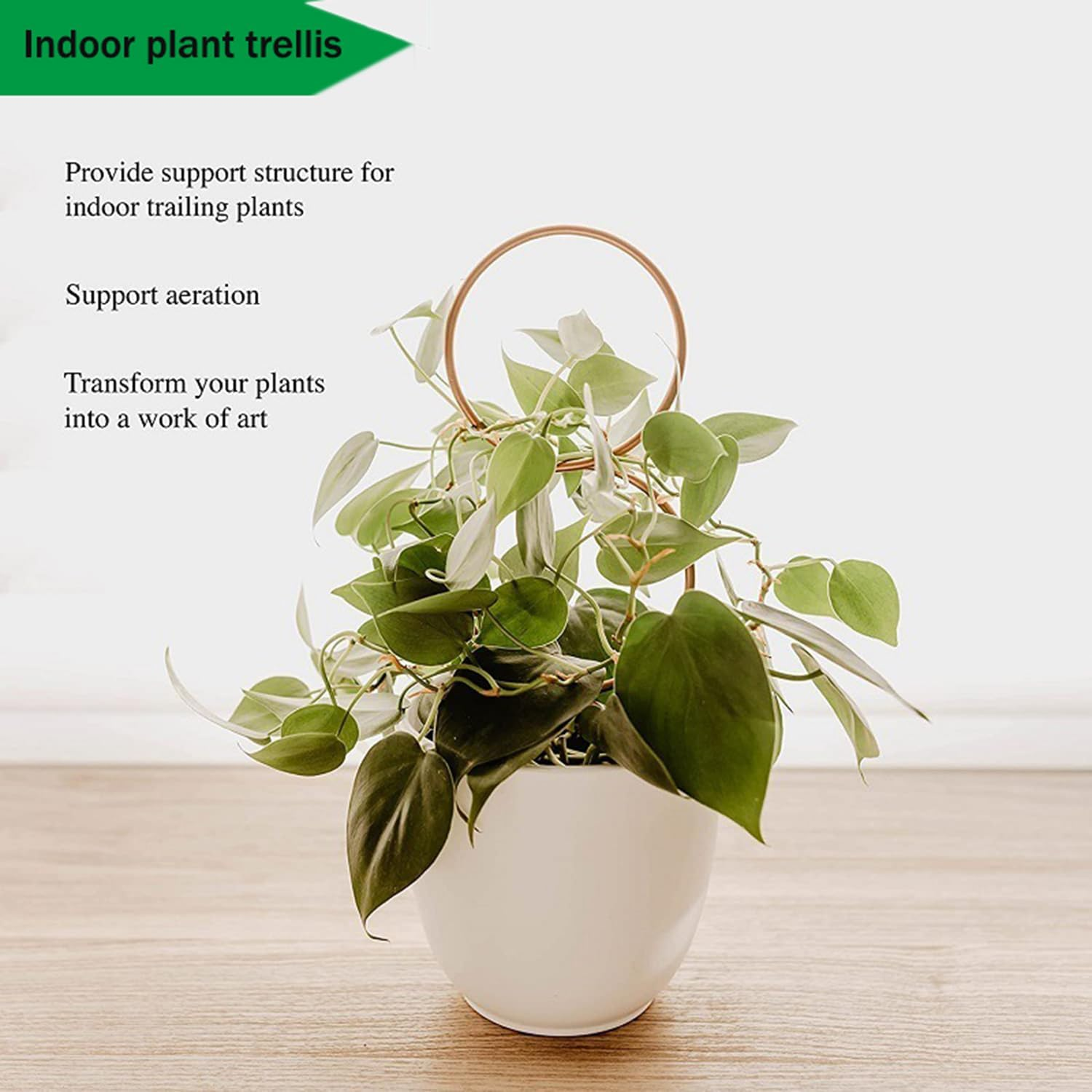 4 Pcs Small Trellis for Potted Plants, Mini Metal Iron Trellis, Rust-Proof Plant Stem Support Stakes, Indoor Potted Plants Holders for Garden Climbing Plant, Hoya, Pothos, Flower, Monstera image number 5