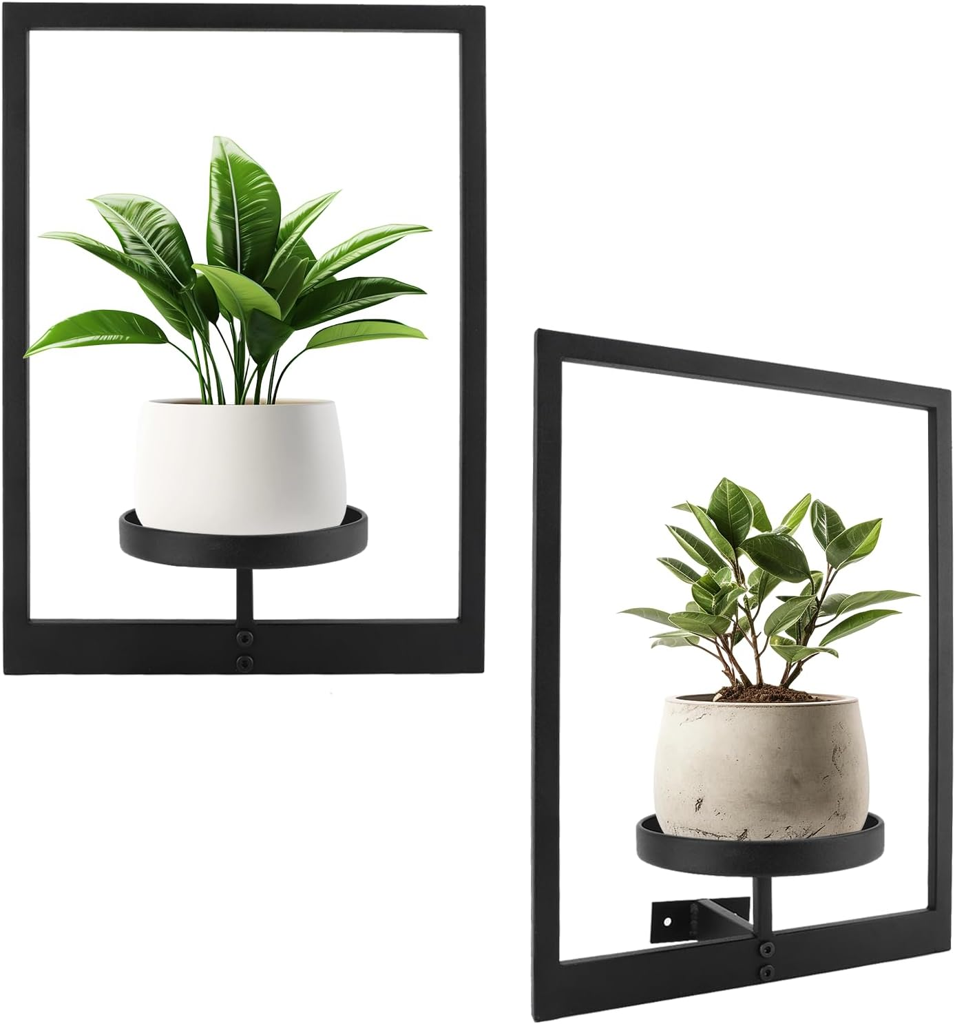 Gugxiom 2 Pack Picture Frame Wall Plant Holder, Metal Plant Wall Frame, Window Shelf for Plants,Plant Frames for Wall, for Living Room Bedroom Bathroom Garden Patio image number 1