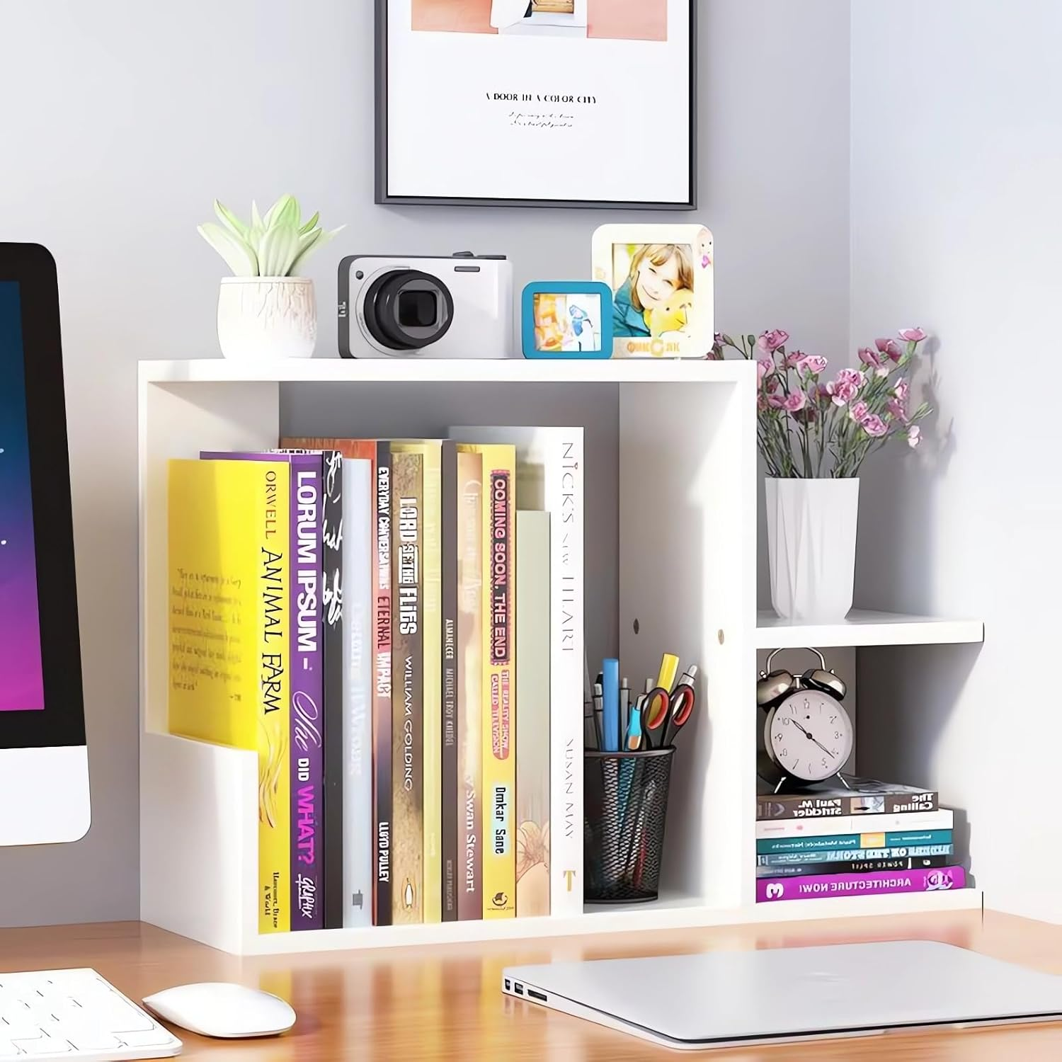 Desktop Wooden Bookshelf Organiser, Small Storage Display Shelf for Books and Decor, 2-Tier Bookcase A209 (White)