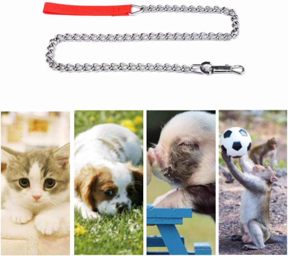 1 Pcs Red Nylon Leash Dog Chain Chew Dog Chain Metal Dog Leash Training Dog Lead Chain Padded Handle Training Dog Chain for Small Medium Large Dogs Training Walking(Red) image number 1