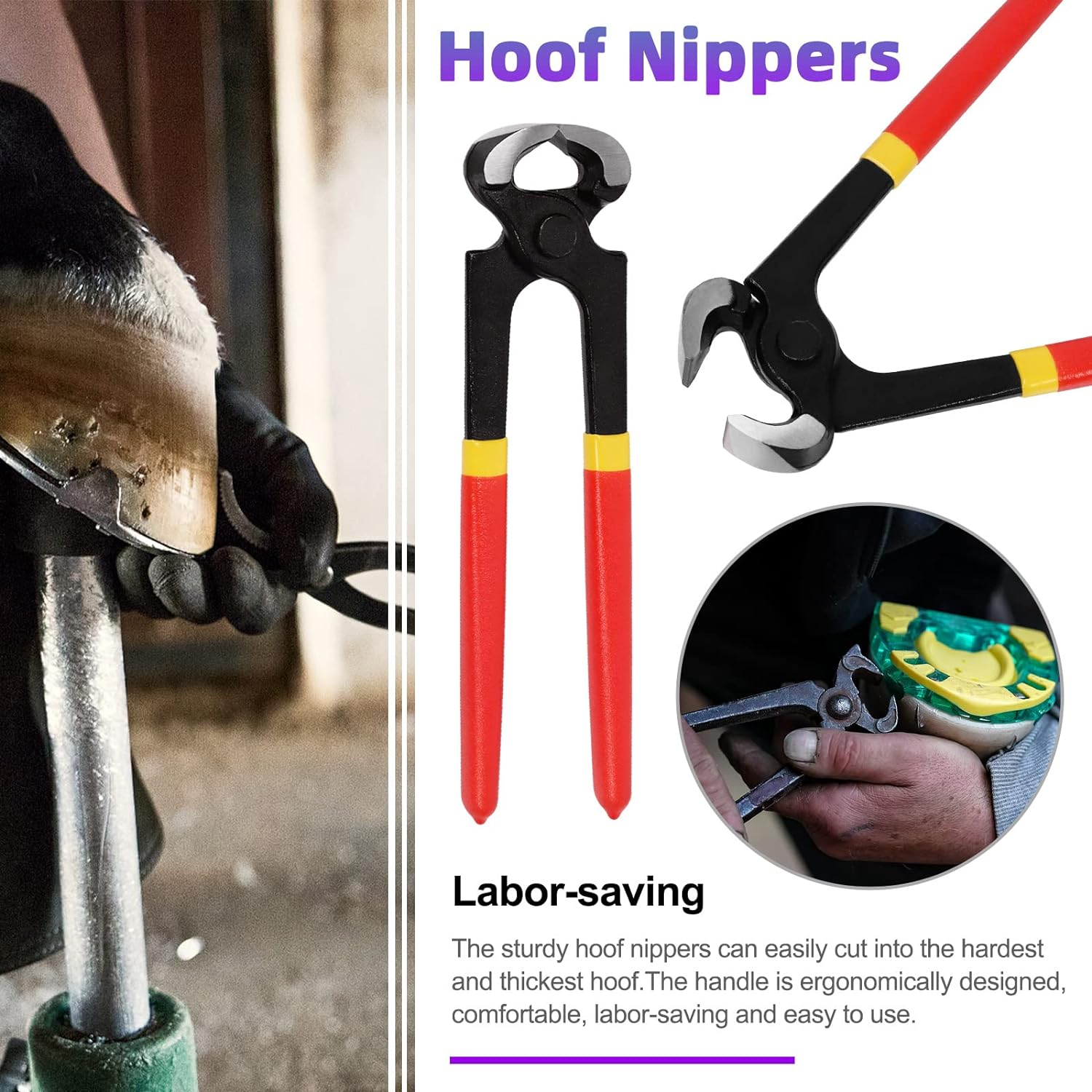 Swpeet 5Pcs Professional Farrier Tools Value Supplies Kit with Roll Pack, Mini 8 Inch Rasp Hoof File, 8 Inch Hoof Nipper, Horseshoe Brush, Horses Hoof Trimmers Shears Tools, Hoof Cutter for Horse image number 6