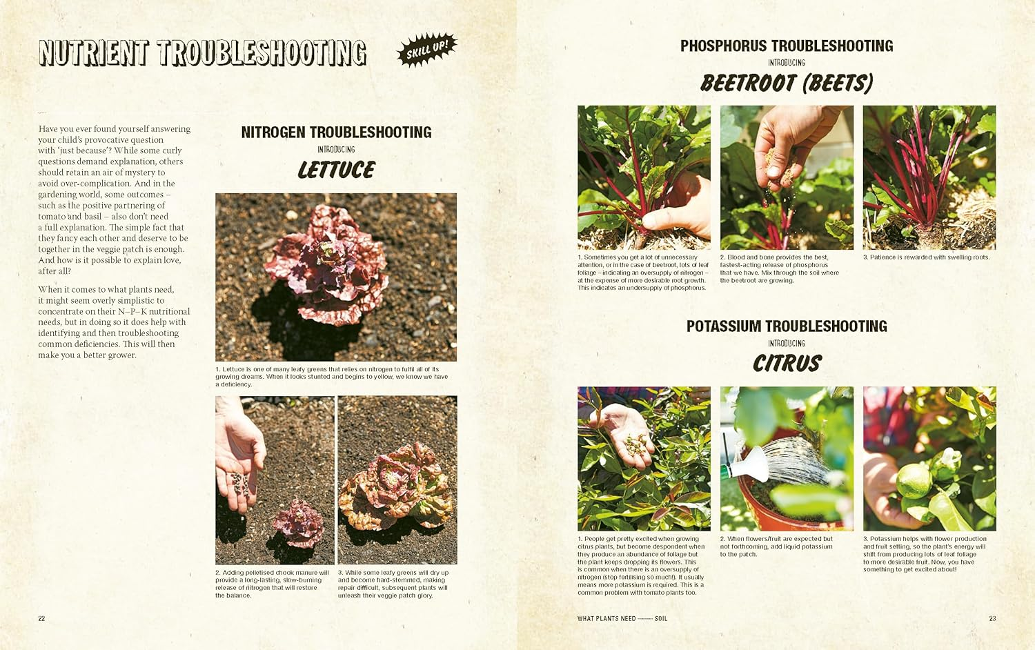 Grow Food Anywhere: the Essential Guide to Small-Space Gardening