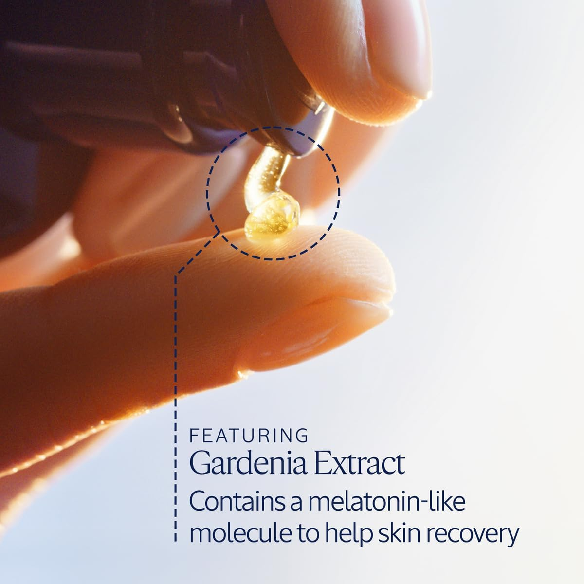 L'OCCITANE Immortelle Overnight Reset Oil-In-Serum, 1.6 Oz. (27OR050I21) image number 6