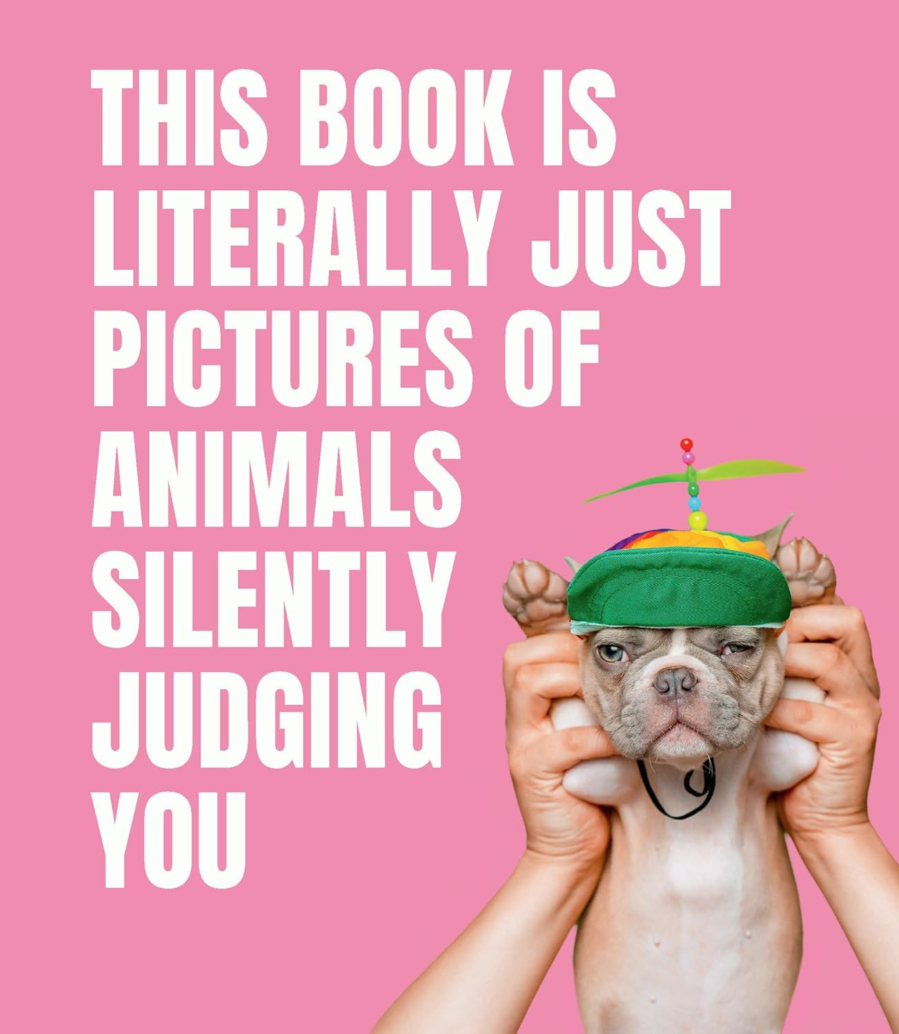 This Book Is Literally Just Pictures of Animals Silently Judging You image number 3