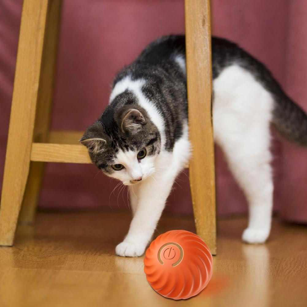 CEWROM Interactive Cat Toy, Self-Employment, 360&deg; Ball Cat Toy with LED Light and Rechargeable USB Battery, Intelligence Toy Ball for Indoor Cats (Orange)