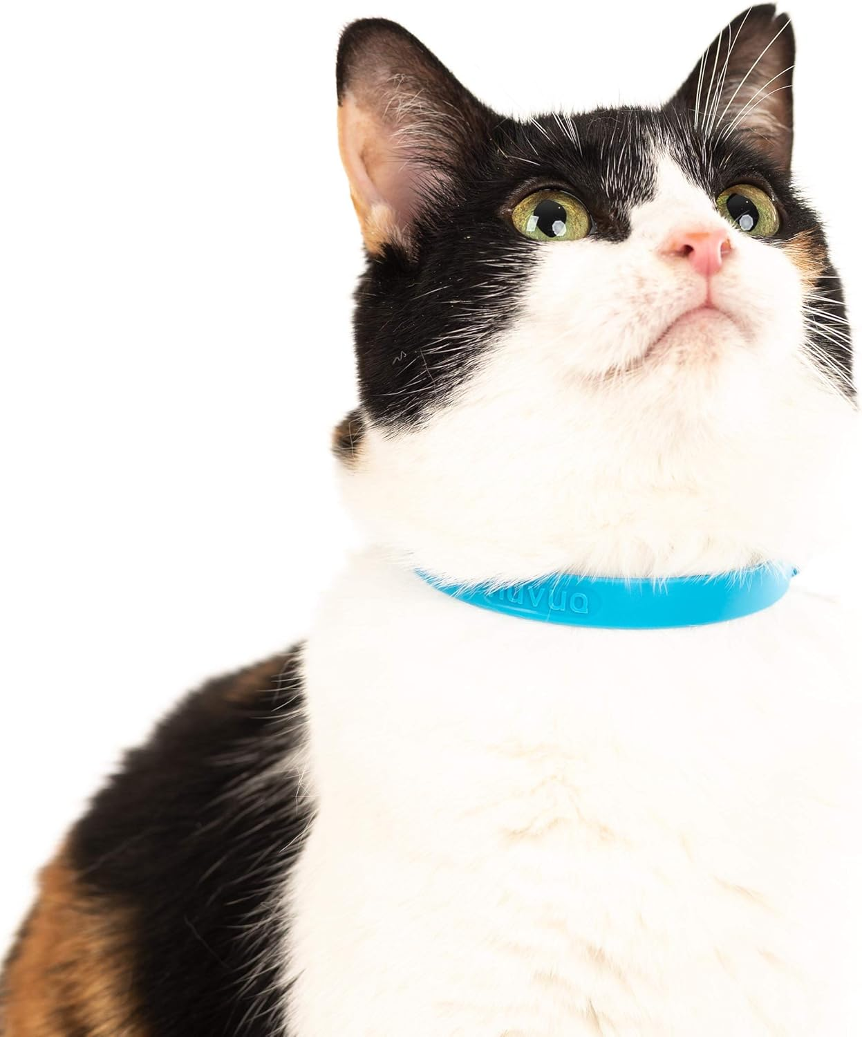 Nuvuq Comfortable, Soft and Light Cat Collar with Breakaway Snap Button (Blueberry Blue)