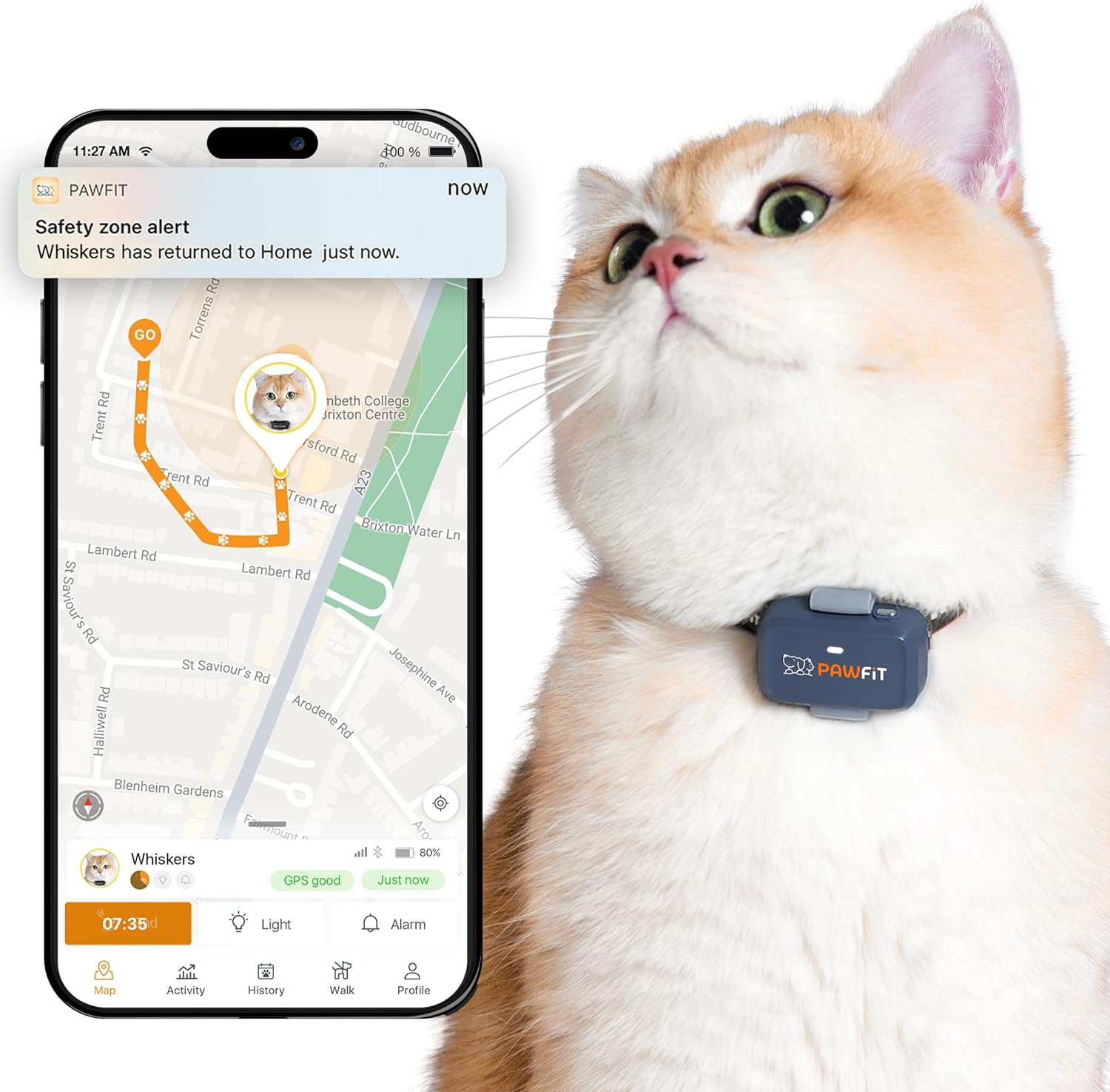 Pawfit Lite for Cats 4G GPS Tracker | Real Time Tracking | Activity Monitoring |Location History | Unlimited Range | Safety Collar Included | Charcoal Grey image number 1