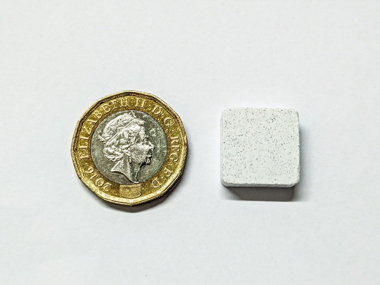 Mineral Blocks Food for Fish Shrimp Snails Plecos Crabs Nerites Ramshorns (15 X Spirulina) image number 1