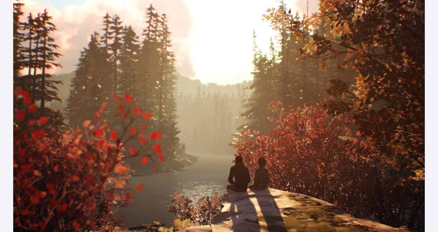 Square Enix Life Is Strange 2 Playstation 4 Game image number 5