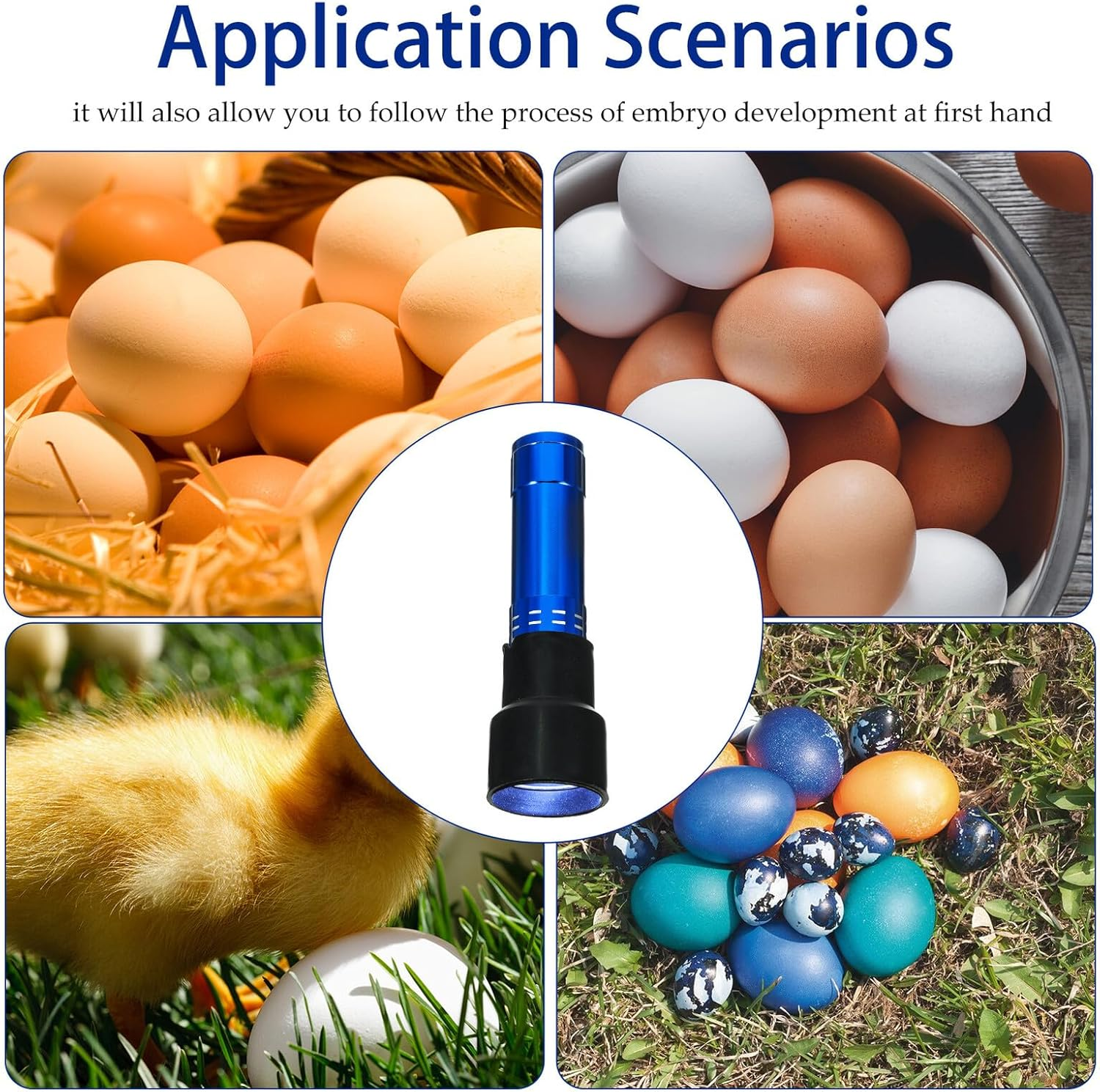 Red Egg Tester Incubator Candling Lamp Cool Bright Light for Poultry Egg Fertility Checking and Cold Incubation Equipment Candler for Indoor Outdoor Use image number 5