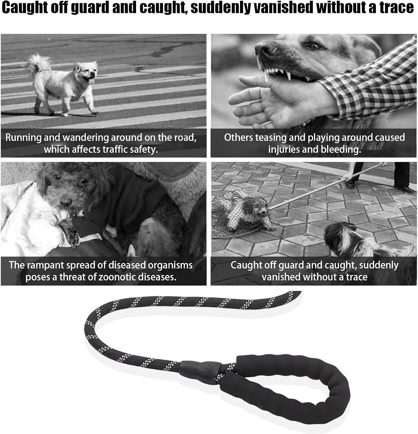 BGENHPON Durable Strong Chew Resistant Dog Lead Slip Lead Nylon Rope with Padded Handle for Walking Training Pet Puppy Mountain Climbing Harness Slipknot Leash 1.2Cm Thick Black 5Ft image number 1